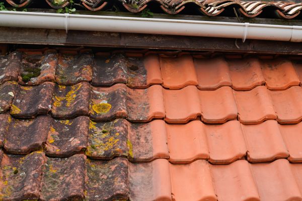 Industrial Roof Cleaning in Ormond Beach
